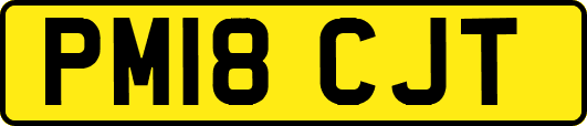 PM18CJT