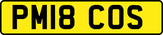PM18COS
