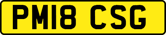 PM18CSG