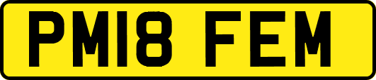 PM18FEM