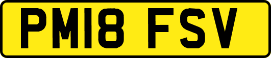 PM18FSV