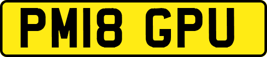 PM18GPU