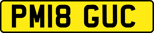 PM18GUC