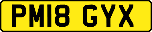 PM18GYX