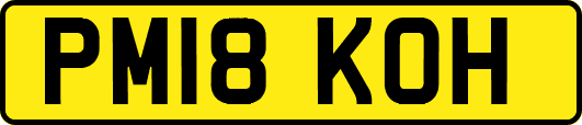 PM18KOH