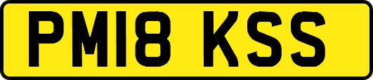 PM18KSS