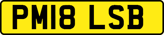 PM18LSB