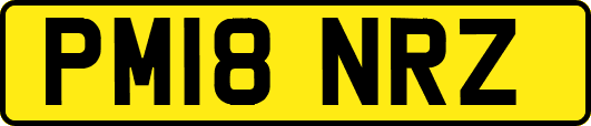 PM18NRZ