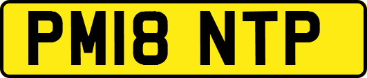 PM18NTP