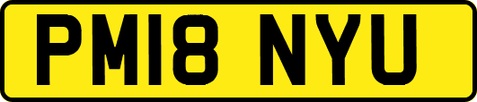 PM18NYU