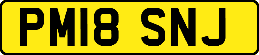 PM18SNJ