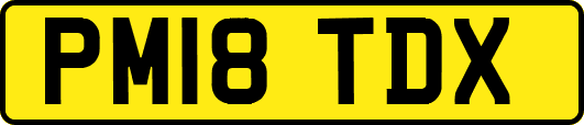 PM18TDX