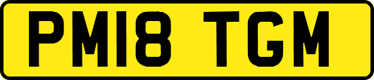 PM18TGM