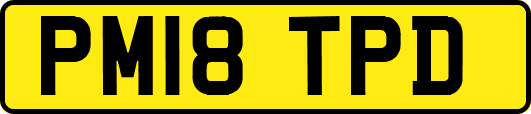 PM18TPD