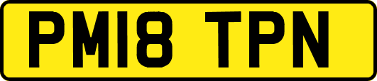 PM18TPN