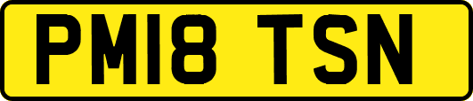 PM18TSN