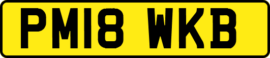PM18WKB