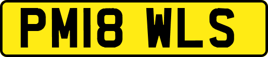 PM18WLS