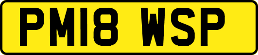 PM18WSP