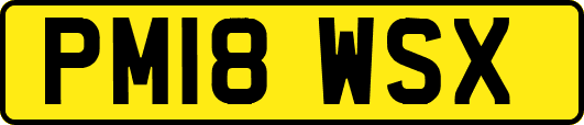 PM18WSX
