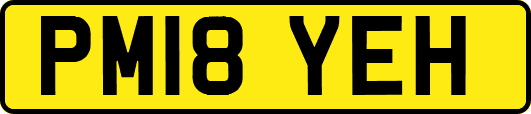 PM18YEH