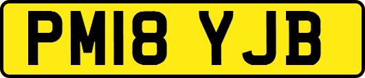 PM18YJB