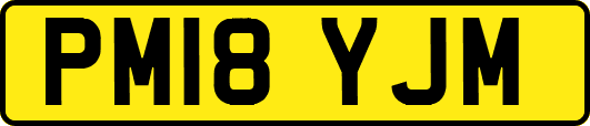 PM18YJM