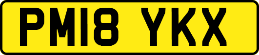 PM18YKX