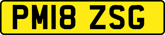 PM18ZSG