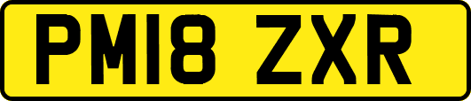 PM18ZXR