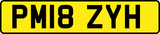 PM18ZYH