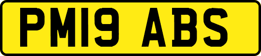 PM19ABS