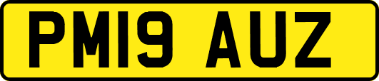 PM19AUZ