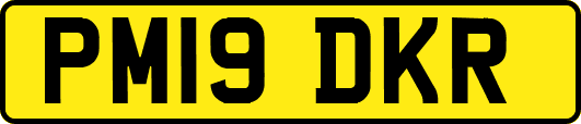 PM19DKR