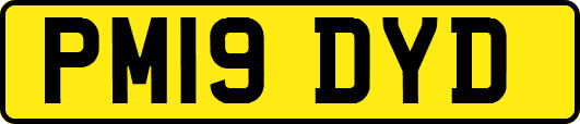 PM19DYD