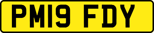 PM19FDY