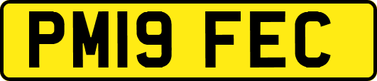 PM19FEC
