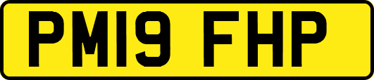 PM19FHP