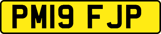 PM19FJP