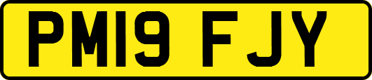 PM19FJY