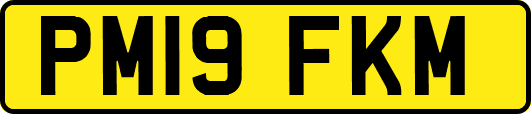 PM19FKM