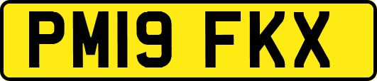 PM19FKX