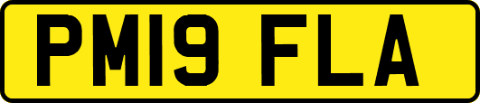 PM19FLA