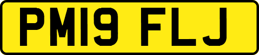 PM19FLJ