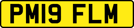 PM19FLM