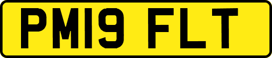 PM19FLT