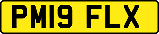 PM19FLX