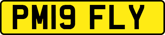 PM19FLY