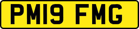 PM19FMG