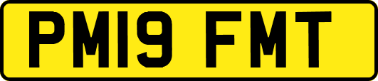 PM19FMT